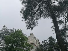 -大金鹰园