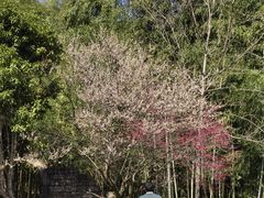 -黄公望隐居地