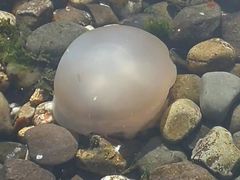 -太行锡崖沟旅游度假区