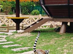 -沈阳森林动物园