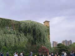 -成都当代影像馆