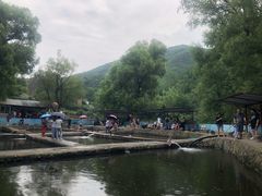 -双新垂钓园
