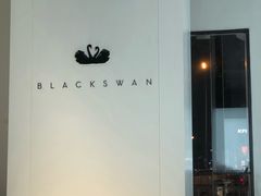 -BLACKSWAN黑天鹅(环球店)