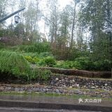 [礼花]以消防为主题的健康生活方式Ⅰ犀牛背公园