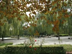 -洛阳市隋唐城遗址植物园