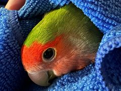 -首义路(地铁站)