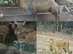 -乐和乐都主题乐园