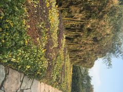 涵田度假村酒店-天目湖涵田度假村