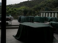 -鲤鱼塘农家山庄