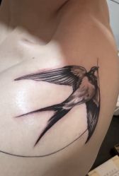 -雕哥的纹身店A3 TATTOO&纹身培训