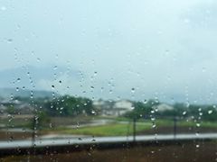 -黄牛肉馆·皖南土菜