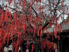 -七曲山风景区