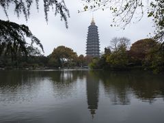 -红梅公园
