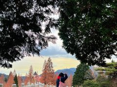 -神户市立六甲山牧场