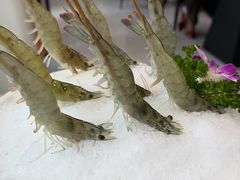 -牛天下·牛肉·海鲜·打边炉·融合菜