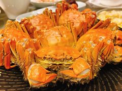 清蒸大闸蟹-王宝和酒家(黄浦店)