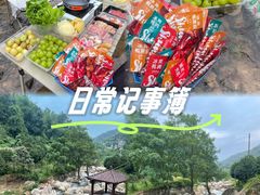 -郴州特产舜华临武鸭(郴州西站店)