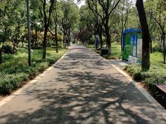 -昆山城市生态森林公园