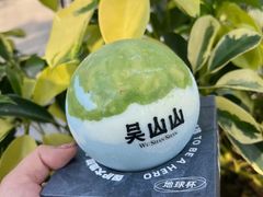 -吴山山·椰子酸奶(天河南店)