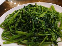 -南海鸽天下(肇庆店)