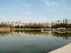 -新江湾城公园