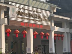 -中国科学院西双版纳热带植物园