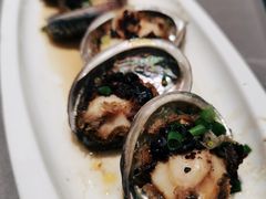 鲍鱼-神洲四海大酒楼(王府井澳门中心店)