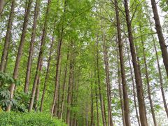 -云龙湖旅游景区