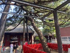 -红螺寺