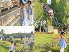 -乌村