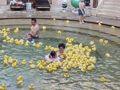 -苏州湾·王焰温泉