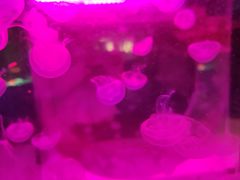 -常州海昌海洋探索馆