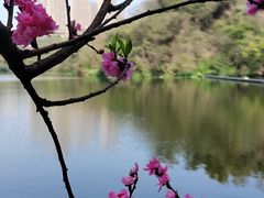 -重庆彩云湖湿地公园