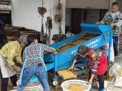 -苏州市吴中区光福窑上花果蜜饯厂