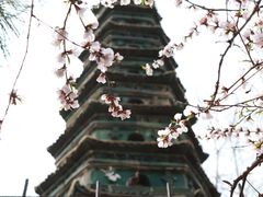 -迎泽公园