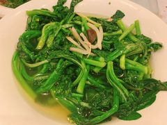 上汤菜心苗-朱仔记食府(江南大道店)