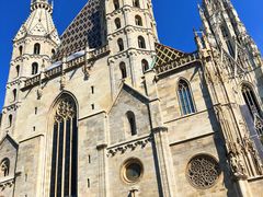 -斯蒂芬主教座堂(Stephansdom)