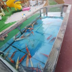 -造物庄园 萌宠纪(苏州湾歌林公园店)