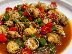 爆炒花螺-大海山(金港店)