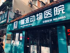 -瑞派动物医院·猫专科·至诚(江南中分院)