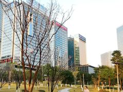 -重庆市江北嘴中央商务区中央公园