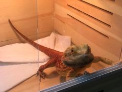 -鬼著刺青工作室·纹身设计