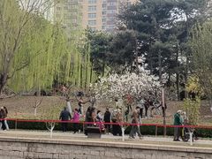 -元大都城垣遗址公园