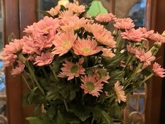 -泡桐树孙二娘私房菜