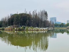 -艾溪湖湿地公园