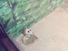 -苏州海洋馆