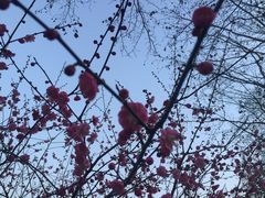 -鲁迅公园