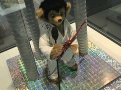 -济州岛泰迪熊博物馆