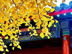 -承恩寺