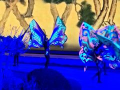-鼎盛王朝康熙大典实景演出